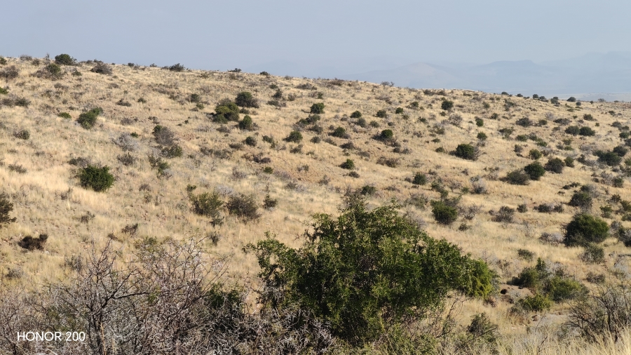 0 Bedroom Property for Sale in Cradock Eastern Cape